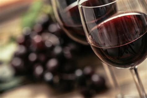 A Beginners Guide To Merlot Recette Magazine