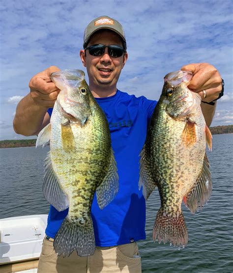 Lake O The Pines Fishing Report