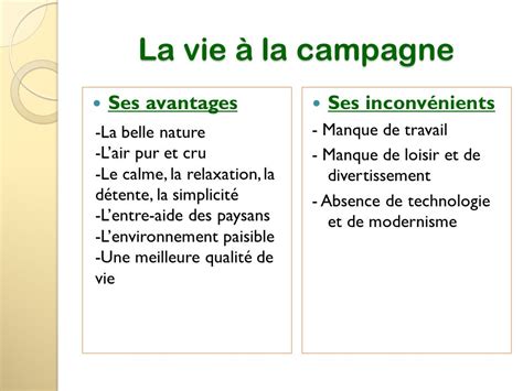 Quels sont les avantages et inconvénients de la vie en ville ou à la