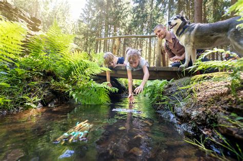 Erzgebirge Mit Kindern Sch Ne Ausflugsziele F R Familien