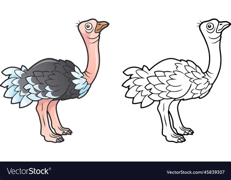 Cartoon Funny Ostrich Royalty Free Vector Image