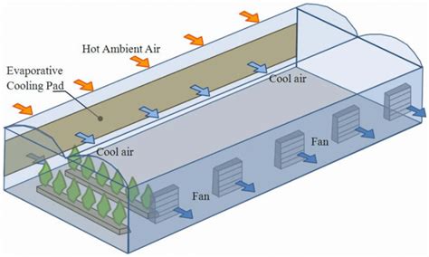 Guide To Evaporative Coolers In Greenhouses Greenhouse Info