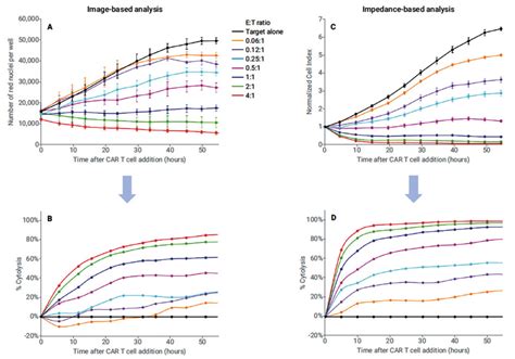 Car T Cell Cytotoxicity Assay Randell Blaney