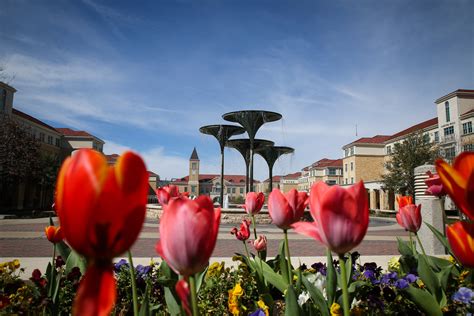 TCU Photo Library