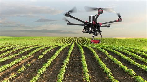 Drones y tecnología punta la salvación para una agricultura a distancia