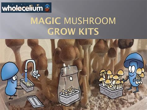 Buy Magic Mushroom Grow Kits at Wholecelium by Wholecelium - Issuu