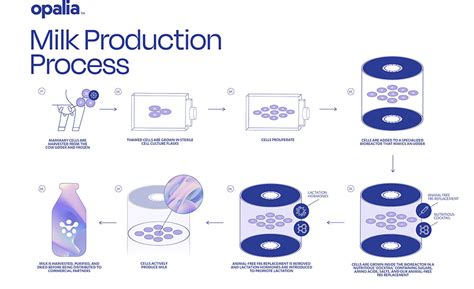 Milk Without The Cow Food Engineering