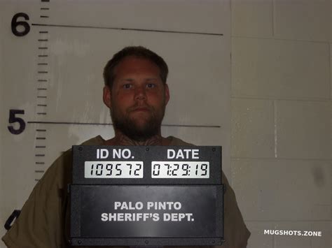 LANDINGHAM C T 06 24 2022 Palo Pinto County Mugshots Zone