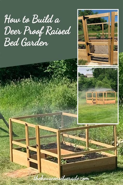 How To Build A Deer Proof Raised Bed Garden The House On Silverado