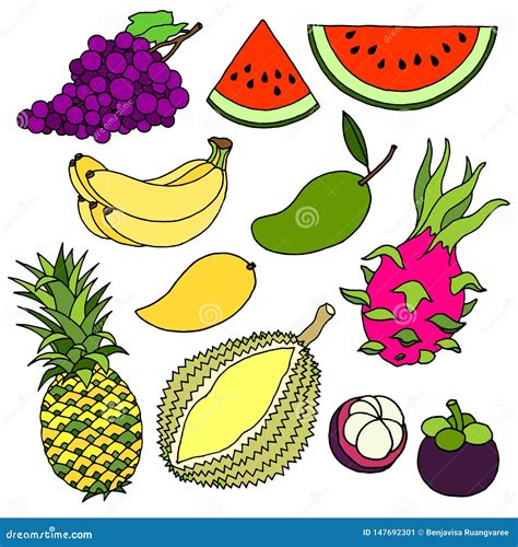 Dibujo Del Vector De Las Frutas Ilustraciones Stock, Vectores, Y ...