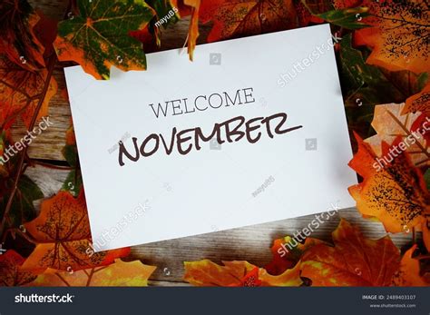 14+ Thousand Welcome November Royalty-Free Images, Stock Photos ... 