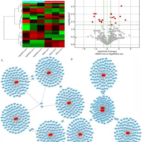 High Throughput Sequencing Analysis Adscs Exo And Hypadscs Exo Mirna