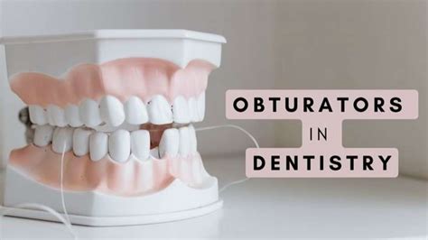 Expert Article Obturators In Dentistry Types Uses And Benefits