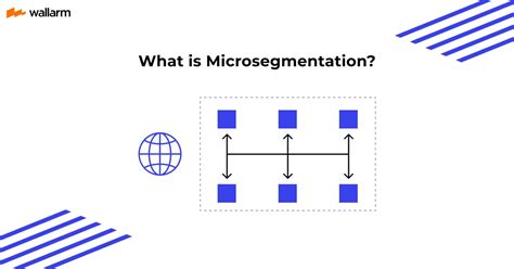 What Is Micro Segmentation Guide By Wallarm