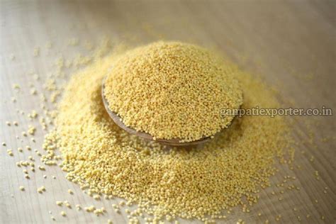 Millet Seed Manufacturer in Jodhpur Rajasthan India by GANPATI EXPORTER ...