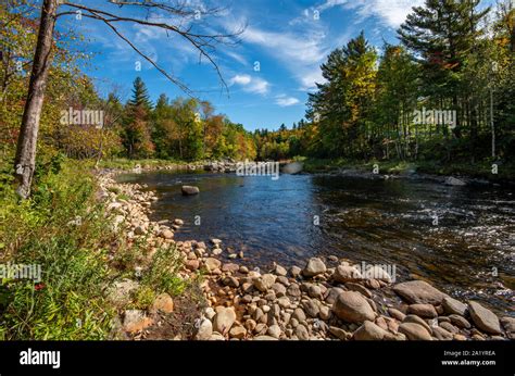 Fall Foliage In The Adirondack Mountains Along The Wilmington Flume