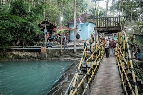 Masuk 50 Besar ADWI 2024 Ini Sederet Daya Tarik Desa Wisata Jatimulyo