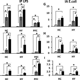 Il Tnf And Il Mrna Levels In The Hippocampus Hc