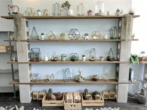 BC Rare Tropical Plants added a... - BC Rare Tropical Plants