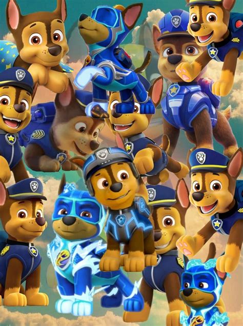 Pin By Emmett James On Paw Patrol Paw Patrol Birthday Theme Paw