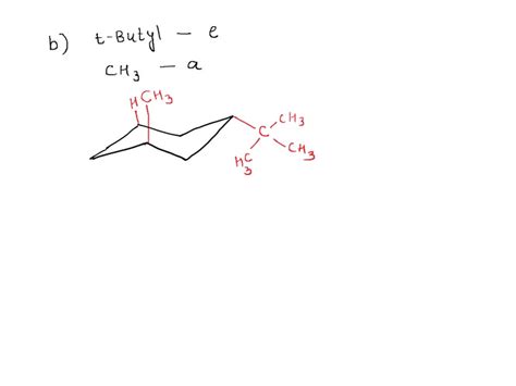 SOLVED As A Substituent On A Cyclic Alkane Tert Butyl Group Is Large