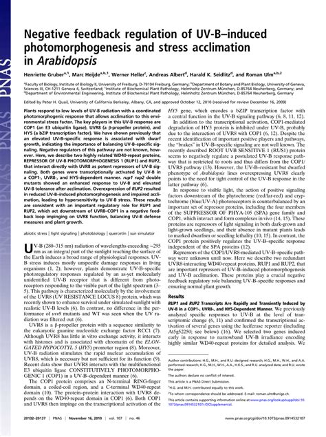 PDF Negative Feedback Regulation Of UV Binduced Photomorphogenesis