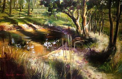 Backyard Dam At Mulgoa Painting By Shirley Peters