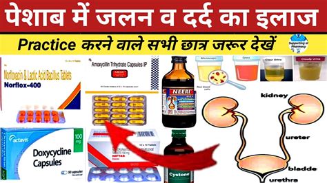 पेशाब में जलन व दर्द का इलाज । Urinary Tract Infection ।कौन सी दवा किस