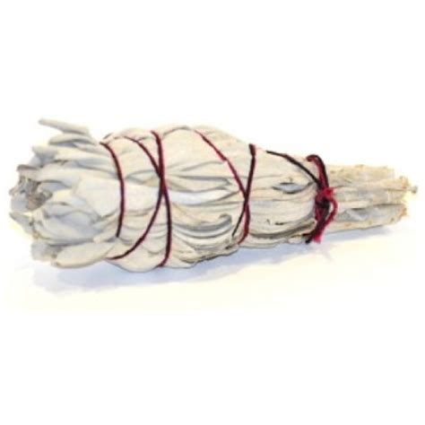 White Sage Smudge Sticks Mini Torch Style Inch Get Best