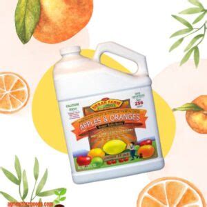 Best Fertilizer For Fruit Trees For Strong Stable Trees