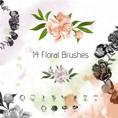 Free 14 Floral Photoshop Brushes By Peony Psfiles