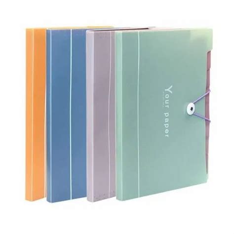 PVC File Folder at Rs 35/piece | PVC Files in New Delhi | ID: 20587598197