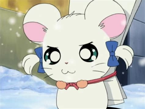 Bijou S Memorable Picture Book The Hamtaro Wiki Fandom