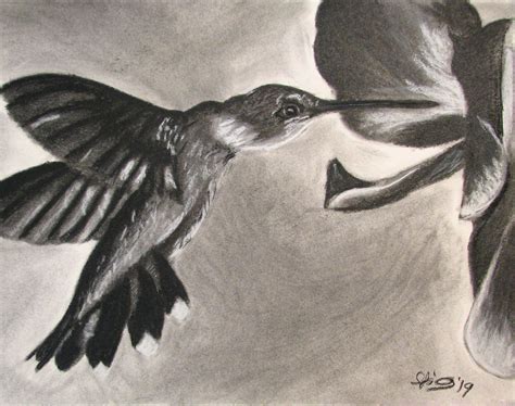 Charcoal Hummingbird By Nershadow On Deviantart