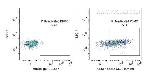 CD71 Antibody CL647 65235 Proteintech