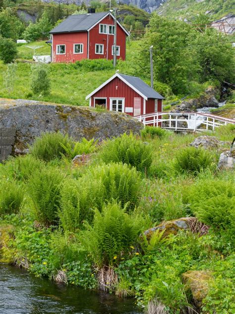 Isole Lofoten Tutto Quello Che Devi Sapere Sulle Lofoten