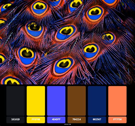 Peacock Color Palettes And Color Combinations