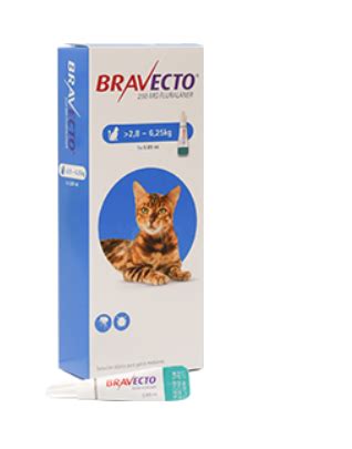 Bravecto Pipeta Gatos A Kg