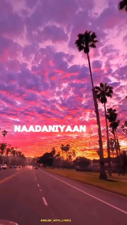 Nadaniyaan💖 Akshat Achariya Song Lyrics Nadaniyaan Song Shorts