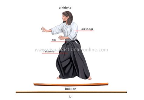 SPORTS & GAMES :: COMBAT SPORTS :: AIKIDO image - Visual Dictionary Online