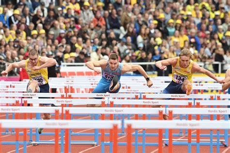 SE mies pehmeni täysin Tässä ovat maaottelun Leijonat lampaat