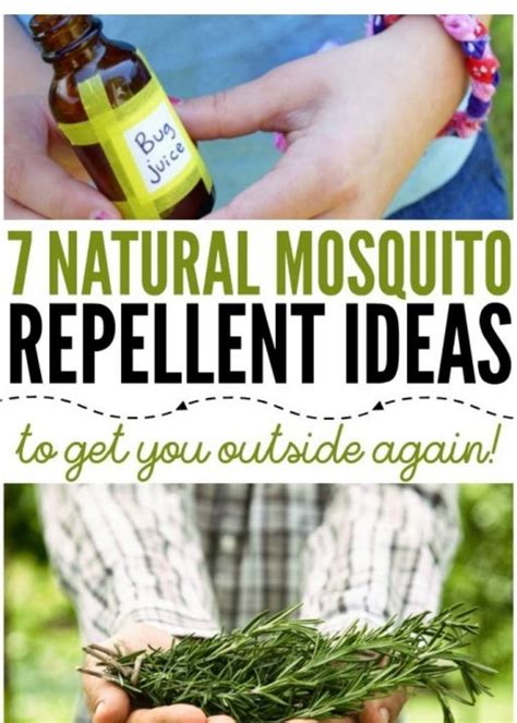 Homemade Mosquito Repellent For Yard Homemade Ftempo