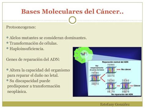 Bases Moleculares Del Cáncer