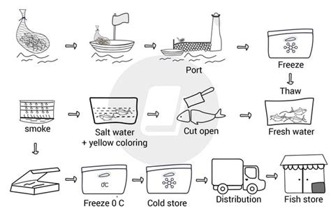 The Diagram Illustrates The Process Of Making Smoked Fish Ielts