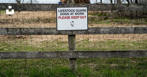 A Sign Warning Of Livestock In A Fenced In Area Photo Free Rural