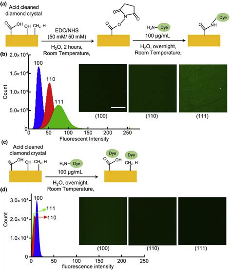 Effect Of Different Surface Orientations On The Covalent And