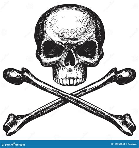 Skull And Crossbones Pirate Symbol Or Danger Sign Stock Vector