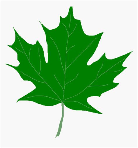 Green Leaf Clipart Green Maple Leaves Clipart Clip - Green Maple Leaf ...