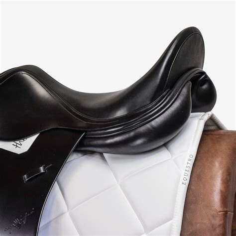 Selleria Equipe Theoreme Le Selle Equitazione Di Base