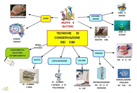 MAPPER CONSERVAZIONE DEGLI ALIMENTI